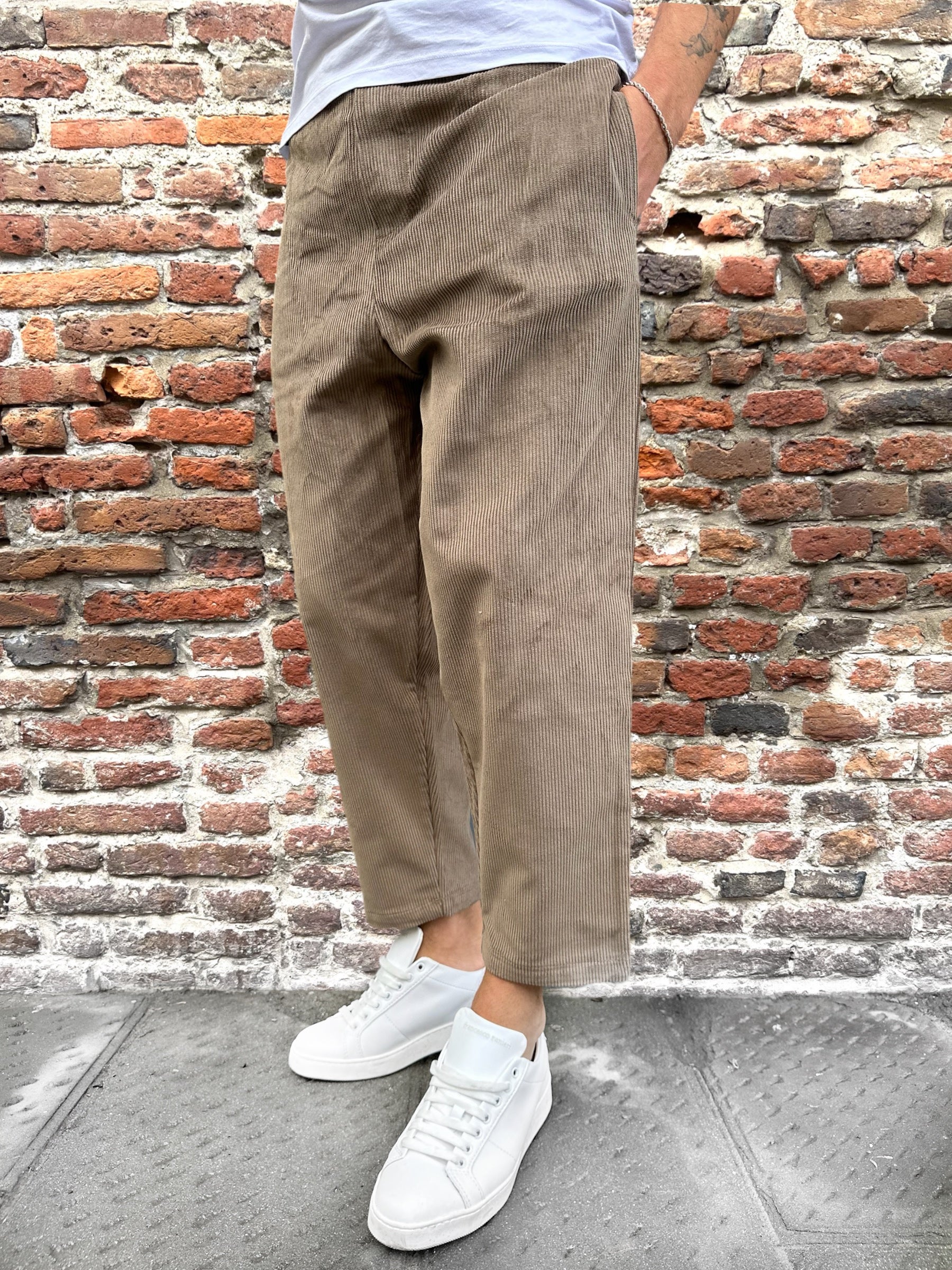 Pantalaccio Why Not Brand Shibuya Velvet Fango PL56 (9750604022100)