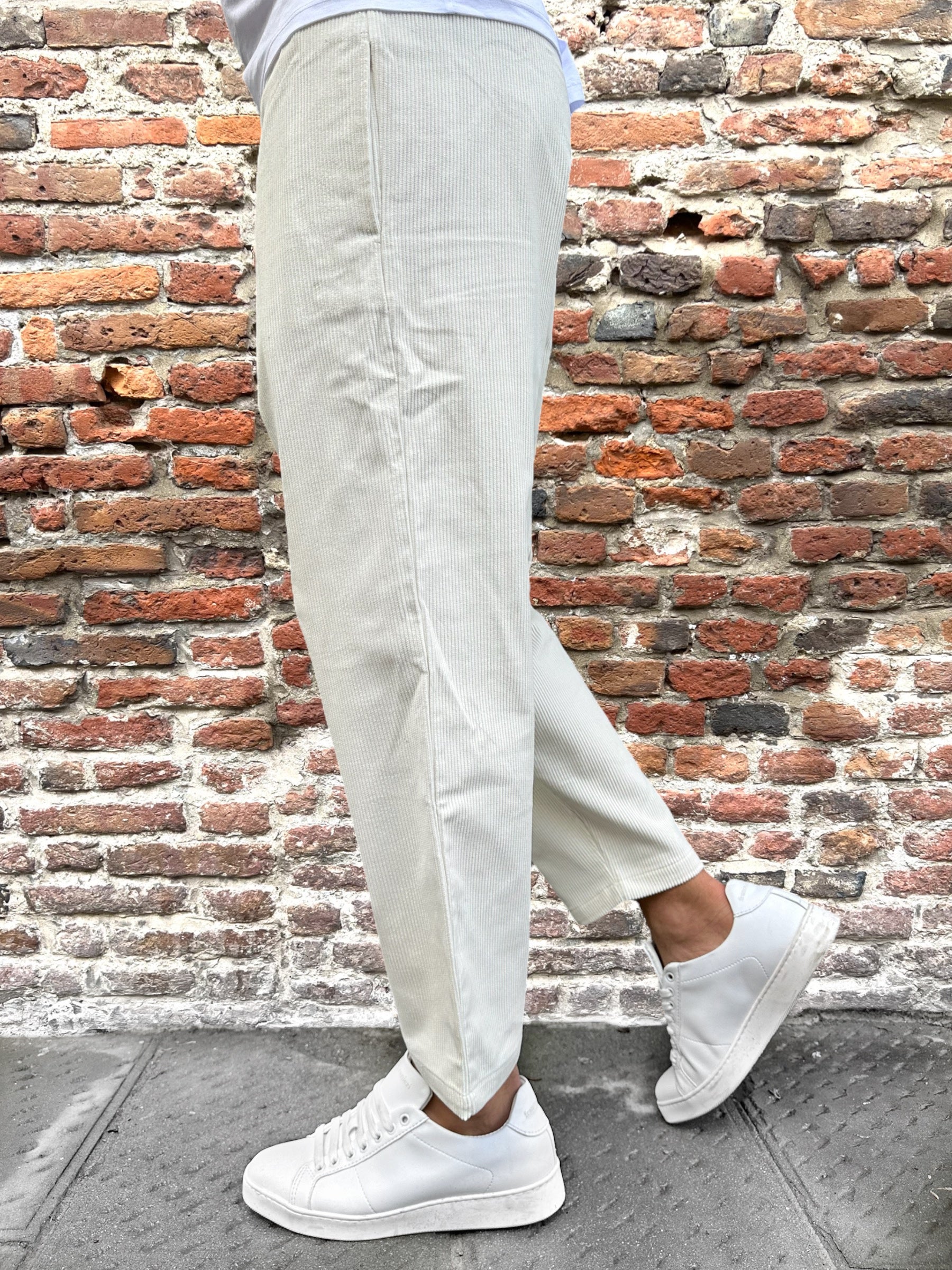 Pantalaccio Why Not Brand Shibuya Velvet Panna PL56 (9750598582612)