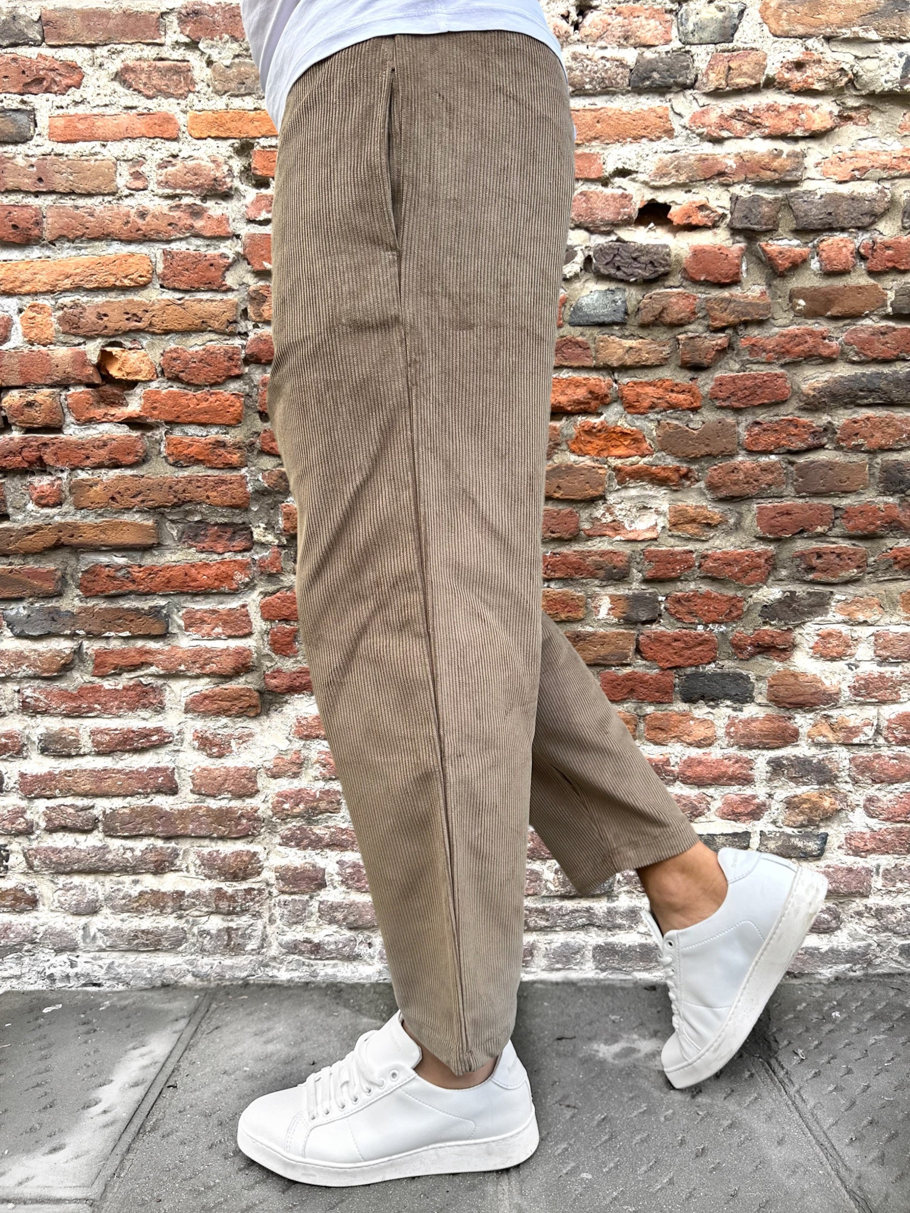 Pantalaccio Why Not Brand Shibuya Velvet Fango PL56 (9750604022100)